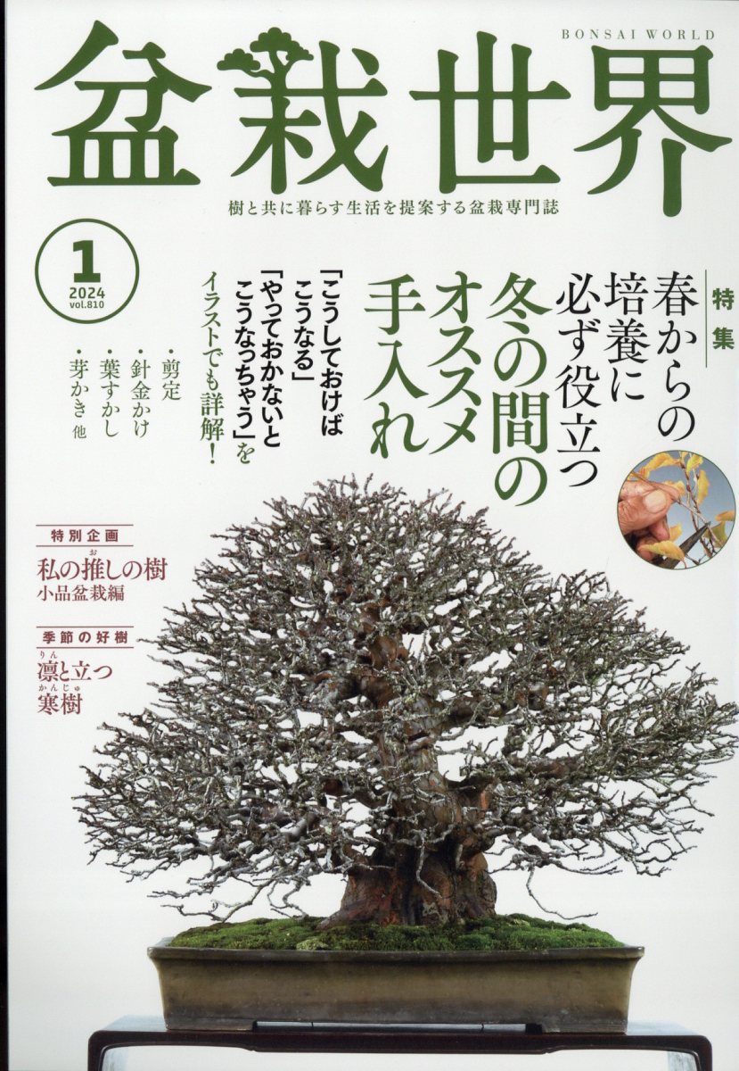 盆栽世界 2006年１月号 - 趣味