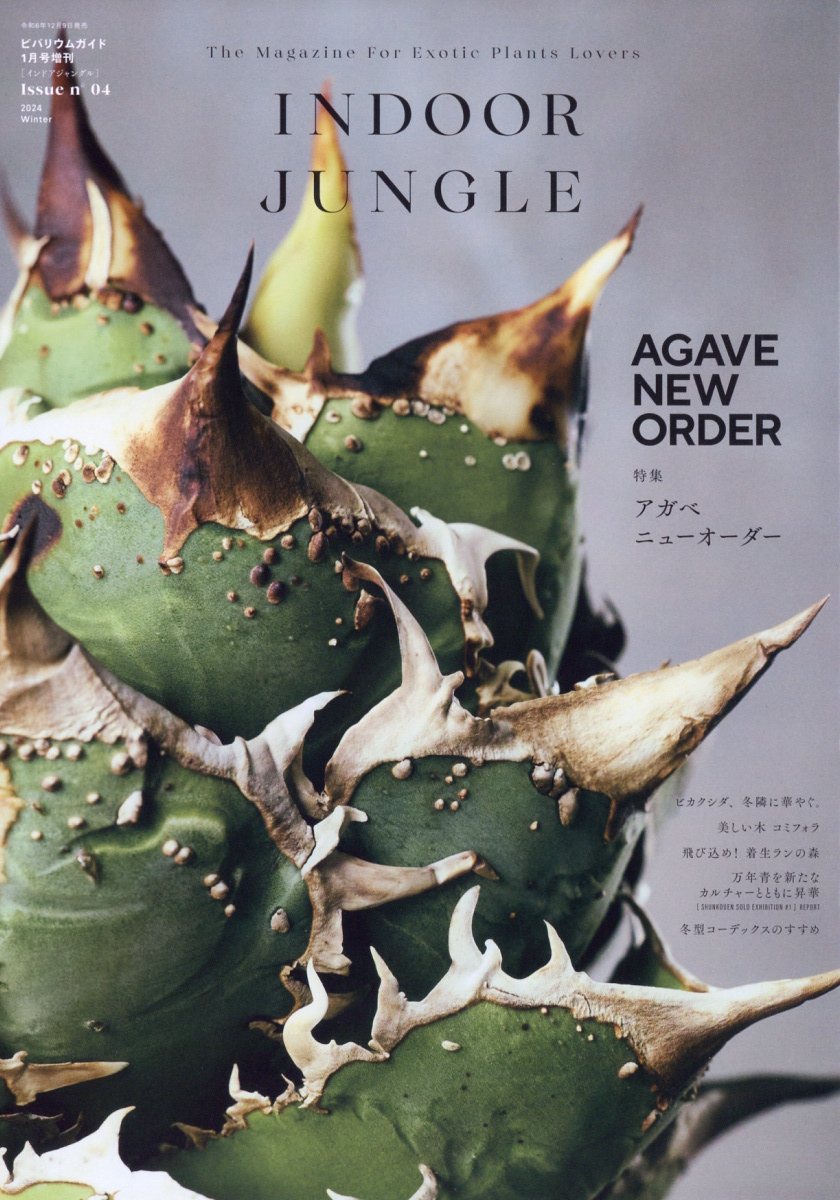 特別価格 JUNGLE INDOOR 楽天ブックス: No.04 [雑誌 1月号 2025年 趣味