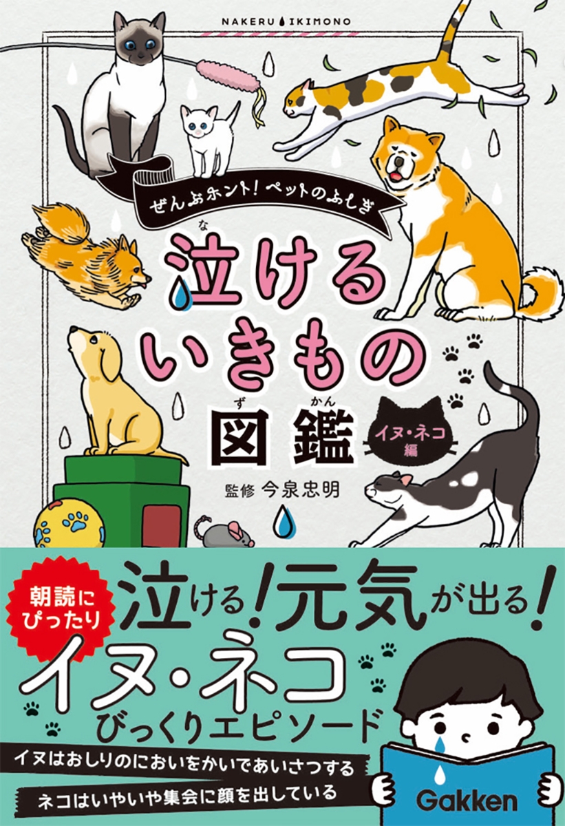 楽天ブックス 泣けるいきもの図鑑 イヌ ネコ編 今泉忠明 本