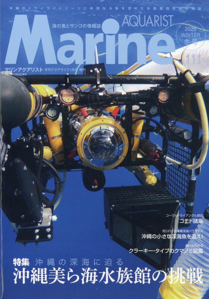 楽天ブックス: マリンアクアリストNo.111 2025年 1月号 [雑誌