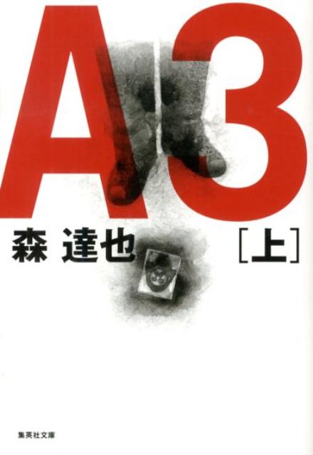 A3（上）画像