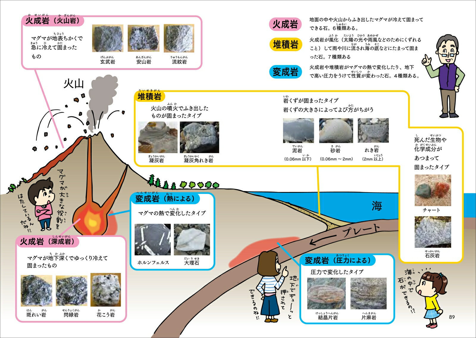 楽天ブックス こどもが探せる川原や海辺のきれいな石の図鑑 柴山 元彦 本