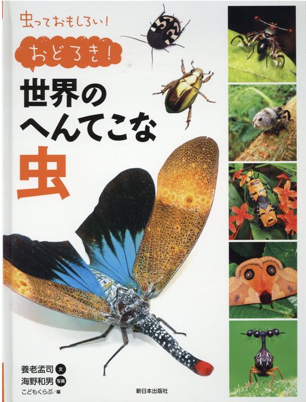 楽天ブックス おどろき 世界のへんてこな虫 養老孟司 本