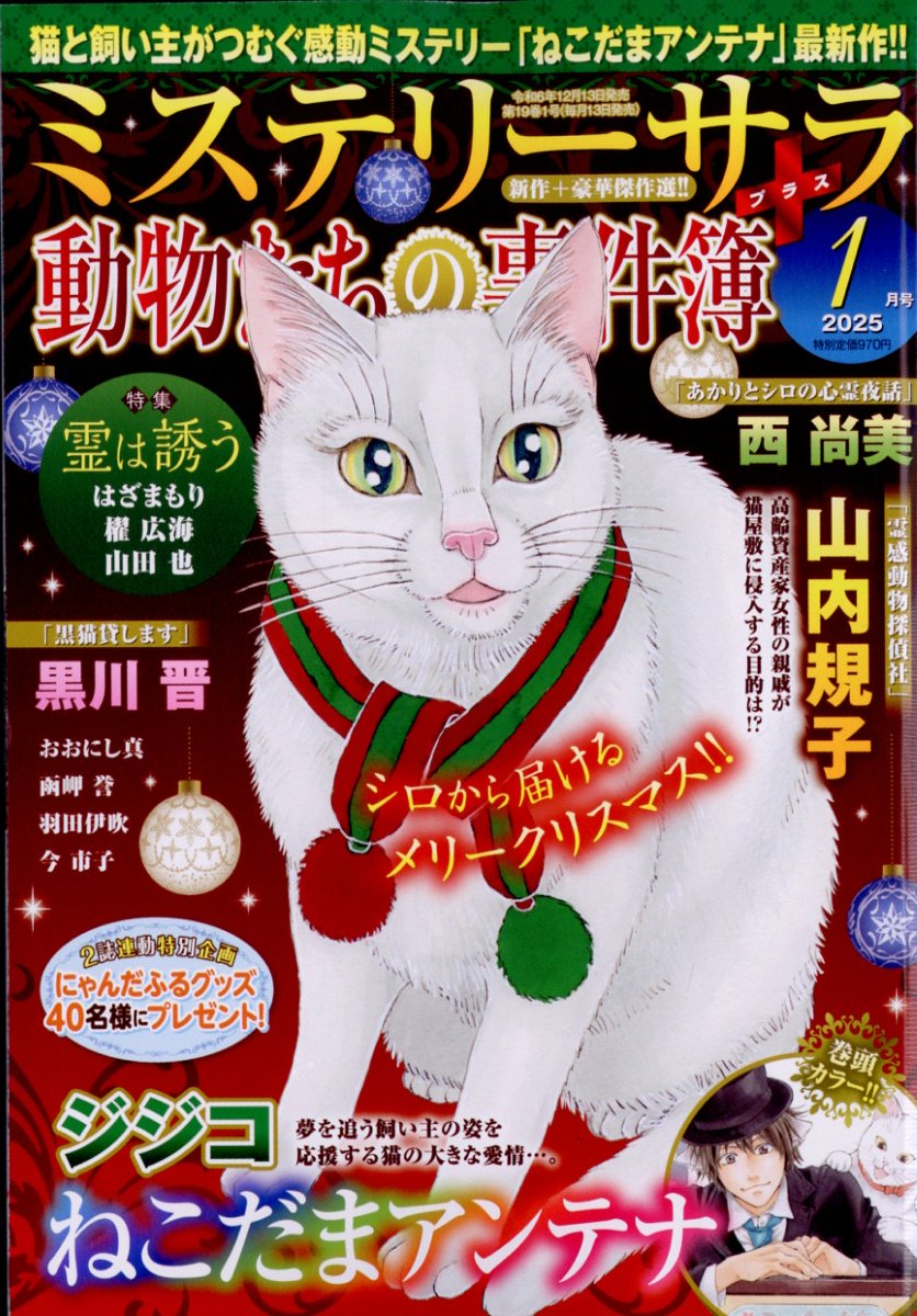 MysterySara(ߥƥ꡼)2025ǯ1[]