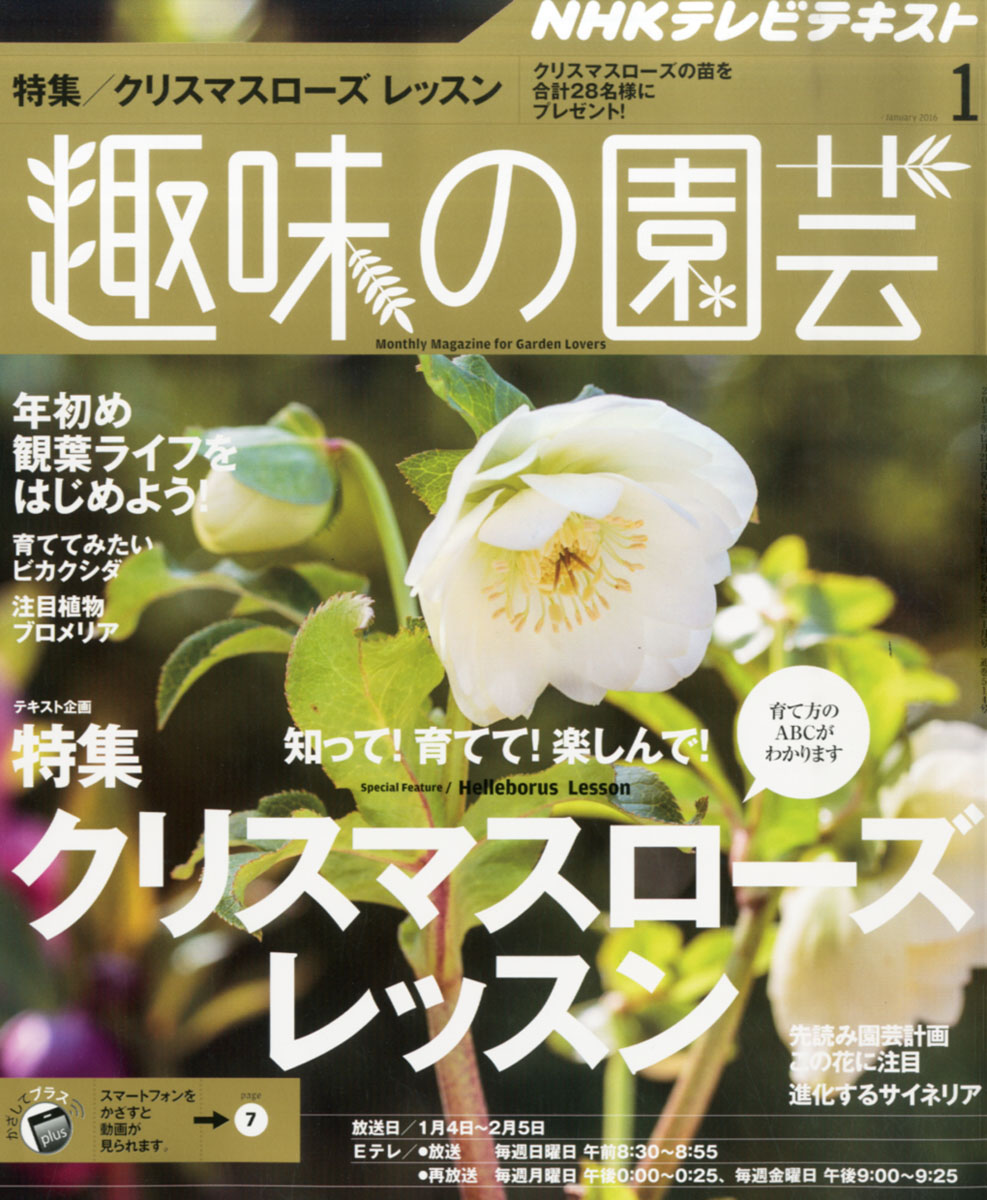 楽天ブックス Nhk 趣味の園芸 16年 01月号 雑誌 Nhk出版 雑誌