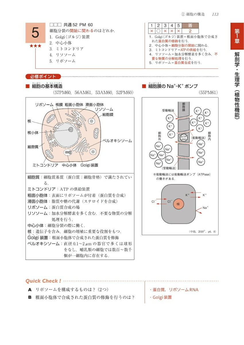 楽天ブックス 理学療法士・作業療法士国家試験必修ポイント 専門基礎分野 基礎医学 2024 オンラインテスト付 医歯薬出版 9784263270165 本 7698