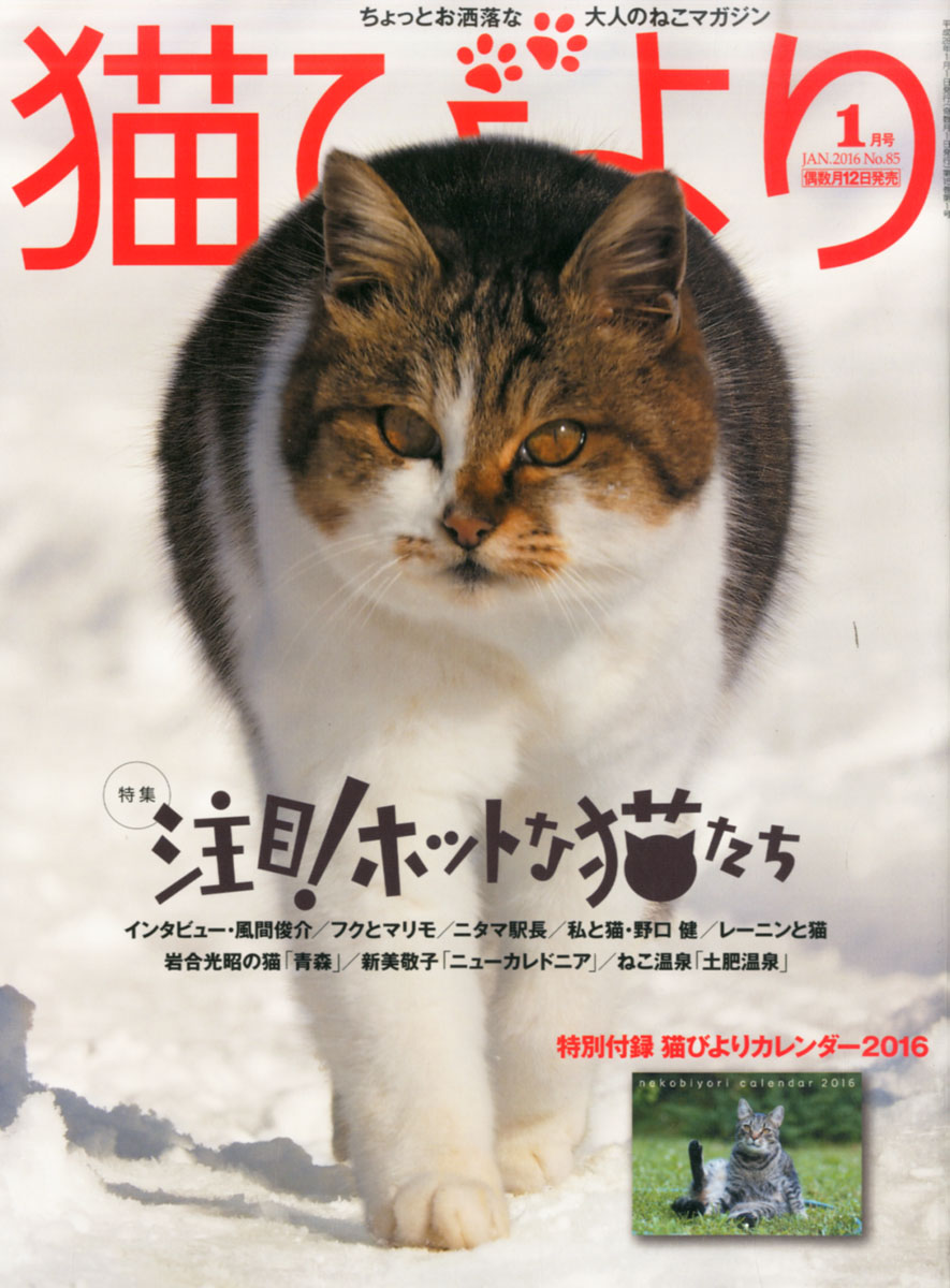 楽天ブックス 猫びより 16年 01月号 雑誌 辰巳出版 雑誌