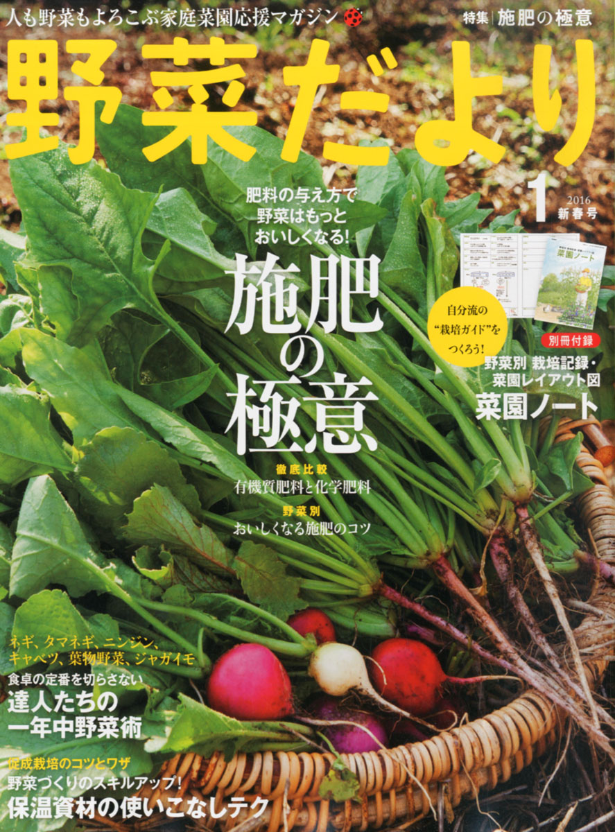 楽天ブックス 野菜だより 16年 01月号 雑誌 学研プラス 雑誌