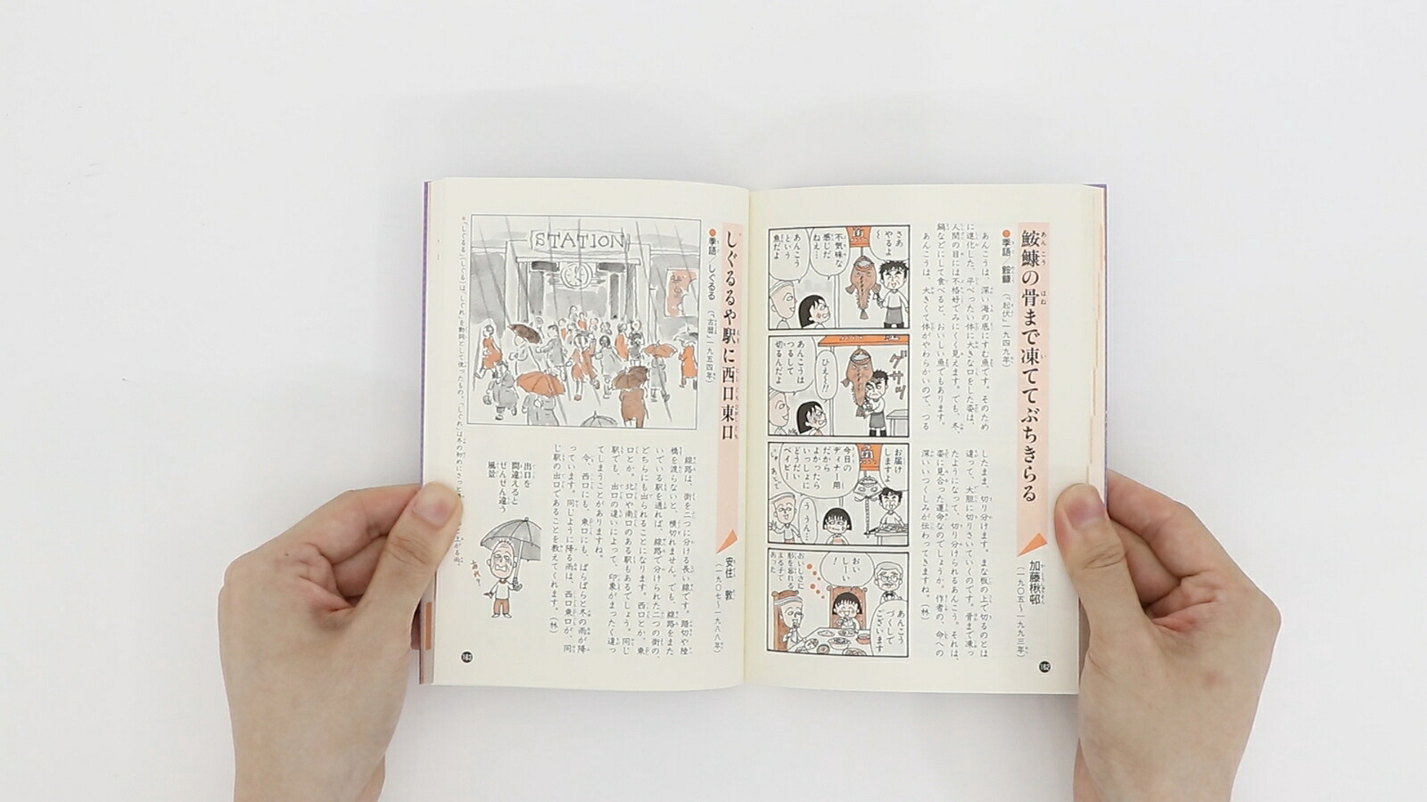 ちびまる子ちゃんの俳句教室俳人の伝記まんが入り（満点ゲットシリーズ）[さくらももこ]