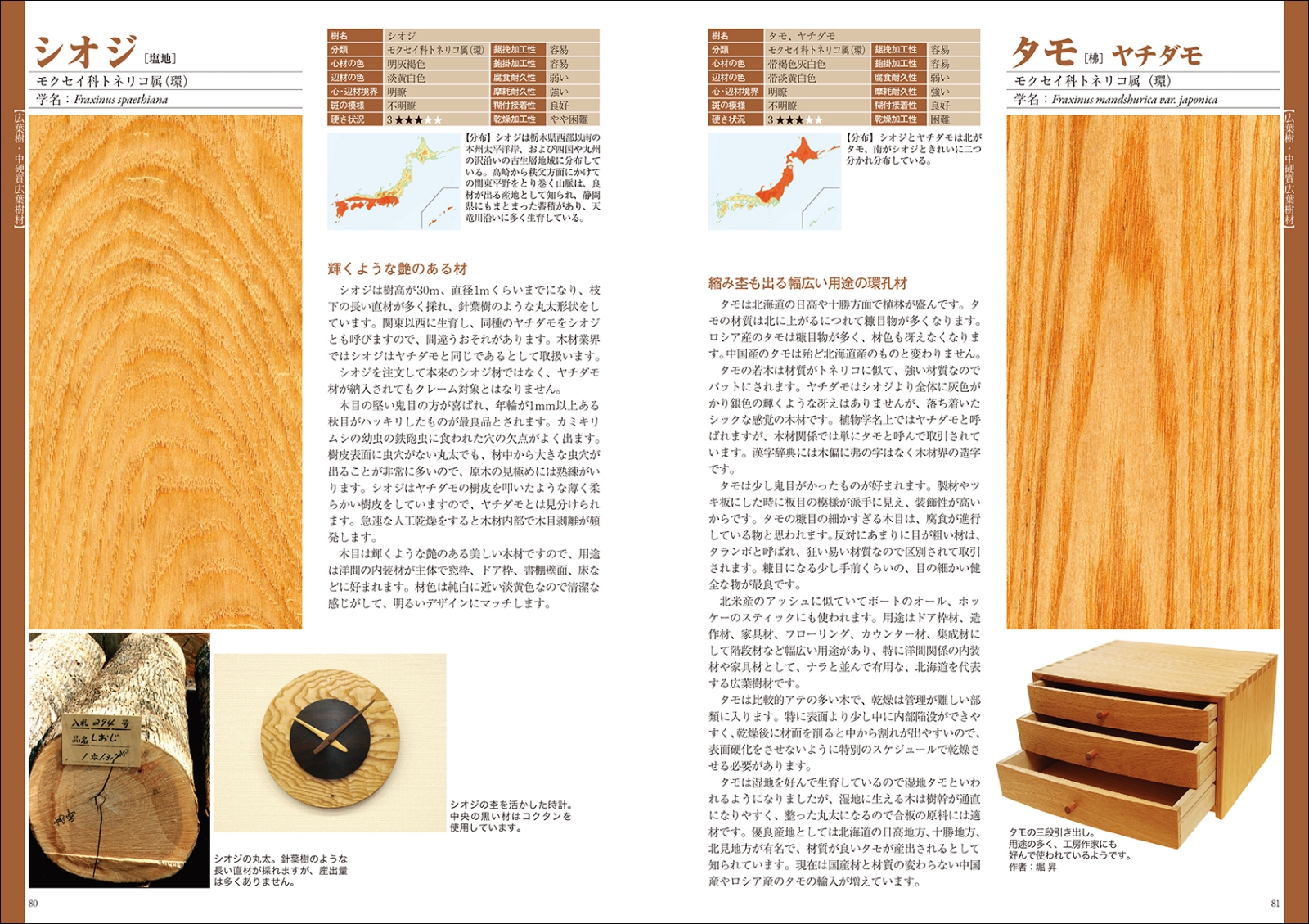 楽天ブックス 新版 原色 木材大事典0種 日本で手に入る木材の基礎知識を網羅した決定版 村山 忠親 本