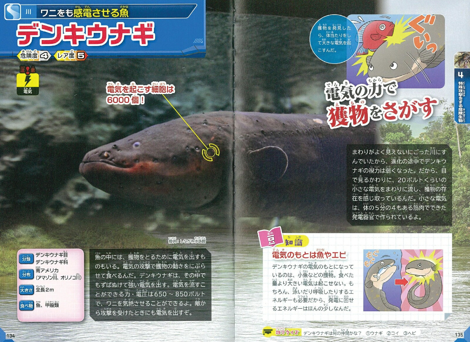 楽天ブックス 海 川の危険生物スペシャル 今泉忠明 本