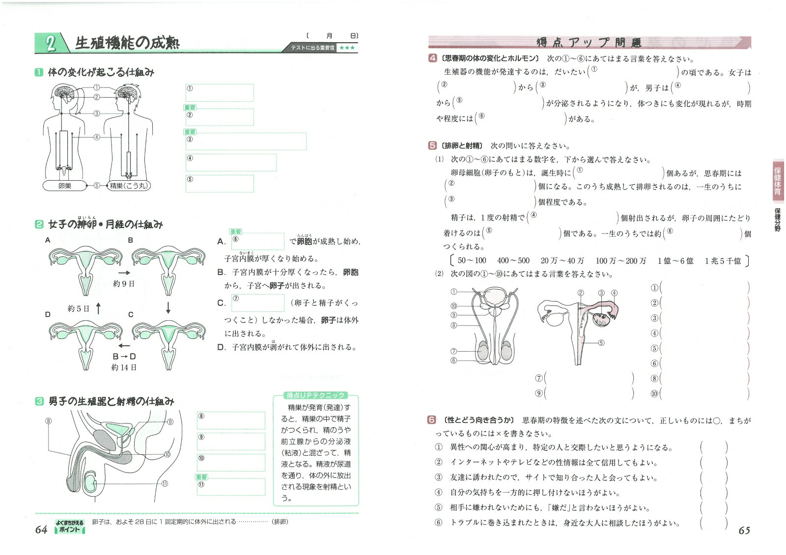 楽天ブックス 中学まとめノート 実技4科 書き込むだけで得点up 中学教育研究会 本