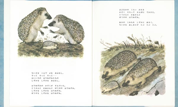 ʤϤʤܥ꡼[।롦ޥ륷㡼]