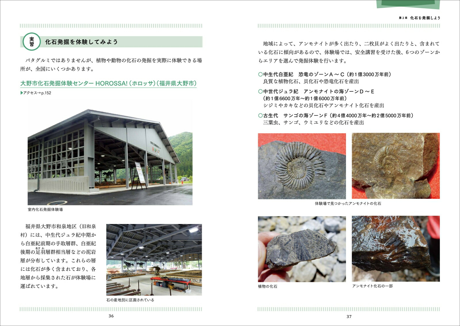 宮沢賢治の地学実習[柴山元彦]