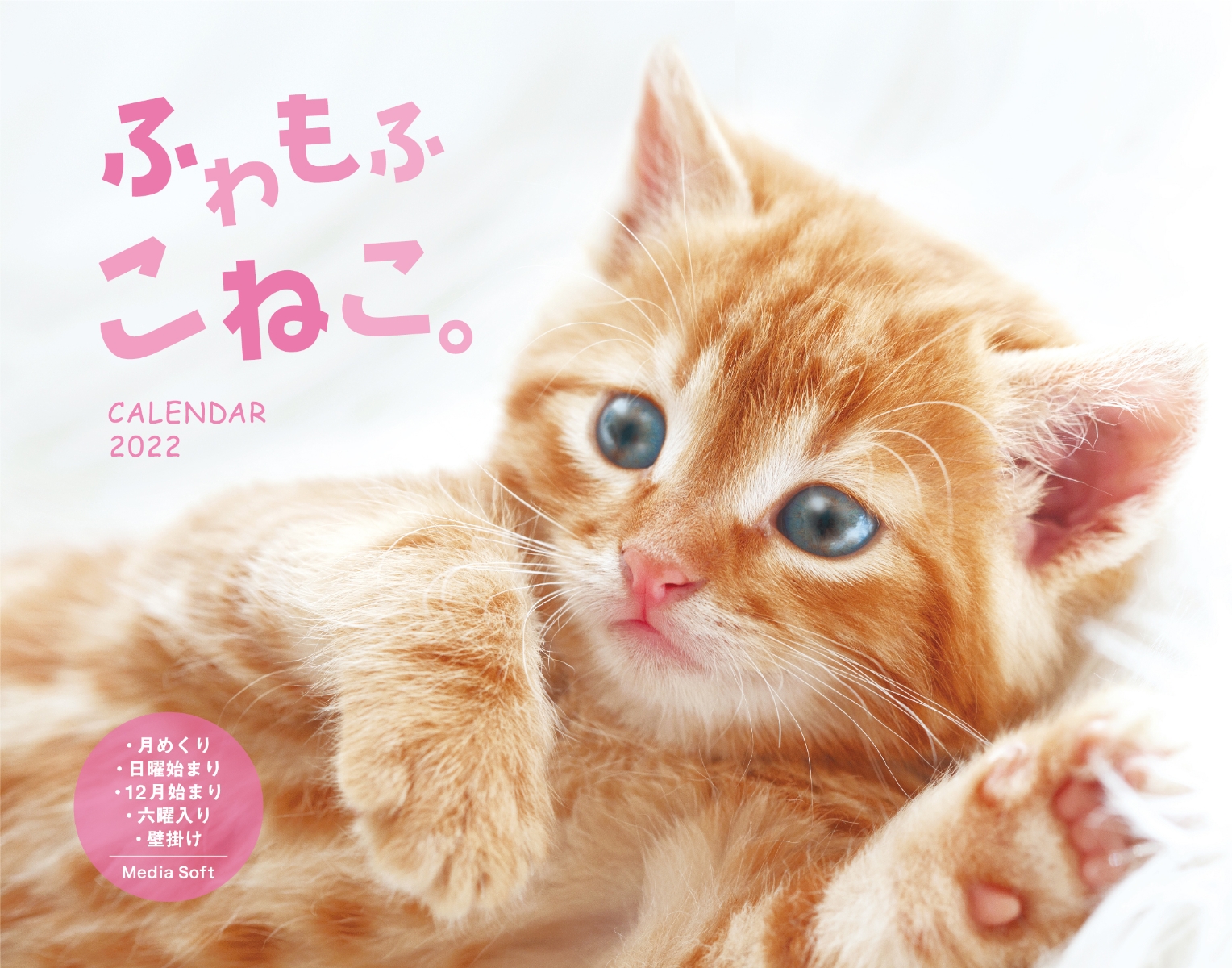 楽天ブックス ふわもふこねこ Calendar 22 本