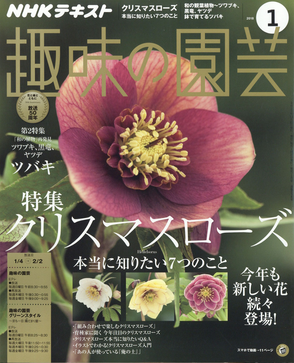 楽天ブックス Nhk 趣味の園芸 18年 01月号 雑誌 Nhk出版 雑誌