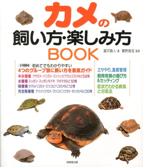 楽天ブックス カメの飼い方 楽しみ方book 富沢直人 本