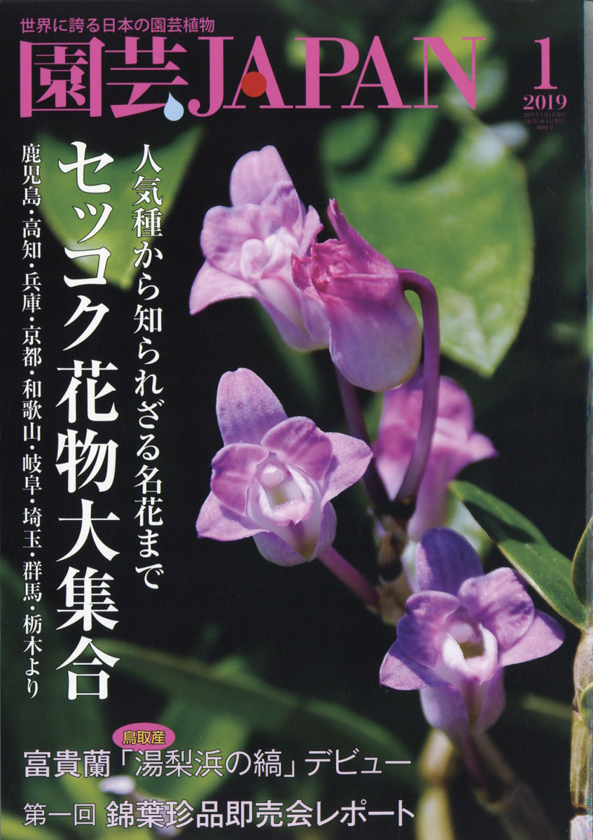 楽天ブックス 園芸japan ジャパン 19年 01月号 雑誌 エスプレス メディア出版 雑誌