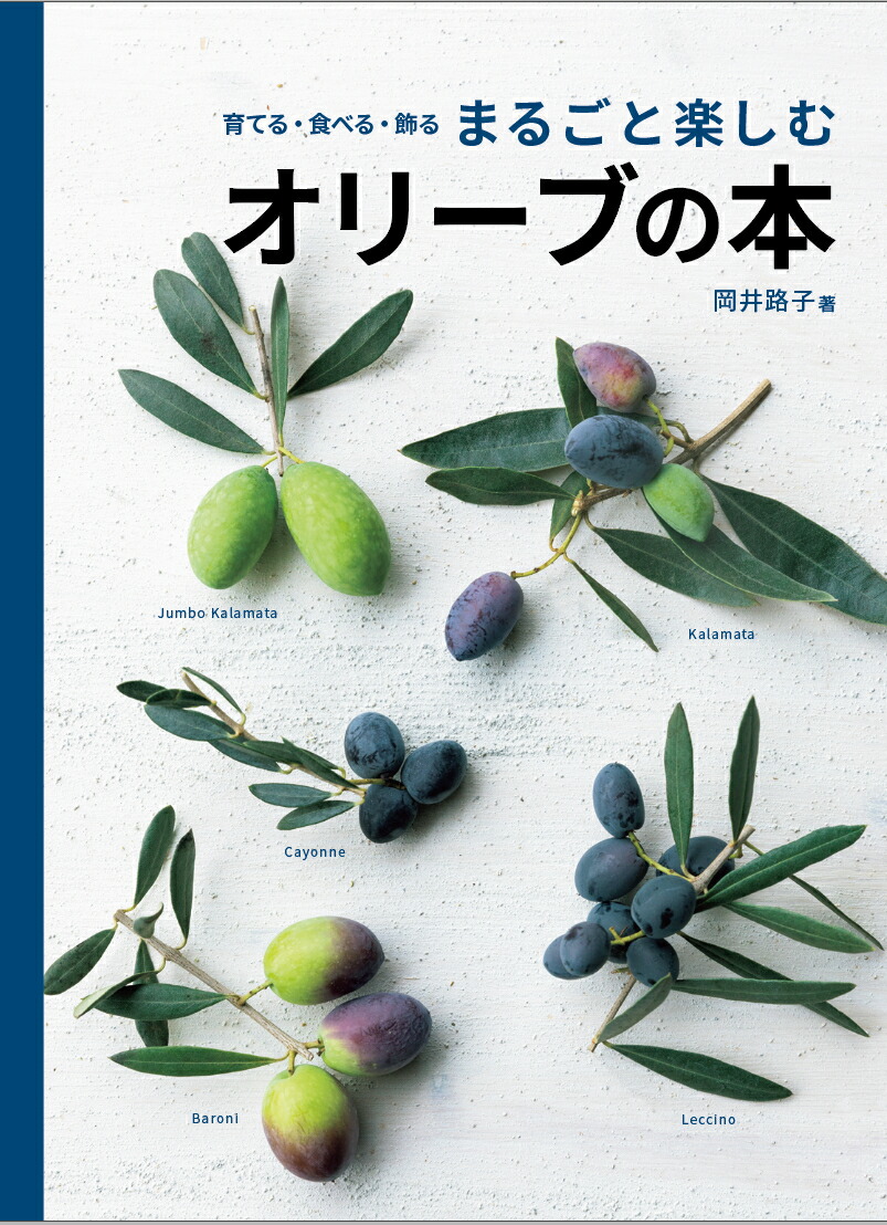 楽天ブックス まるごと楽しむオリーブの本 岡井路子 9784073420194 本