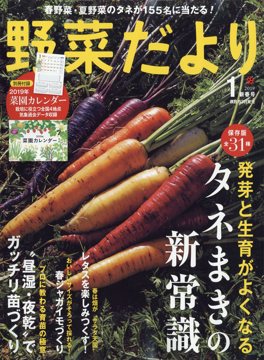 楽天ブックス 野菜だより 19年 01月号 雑誌 学研プラス 雑誌