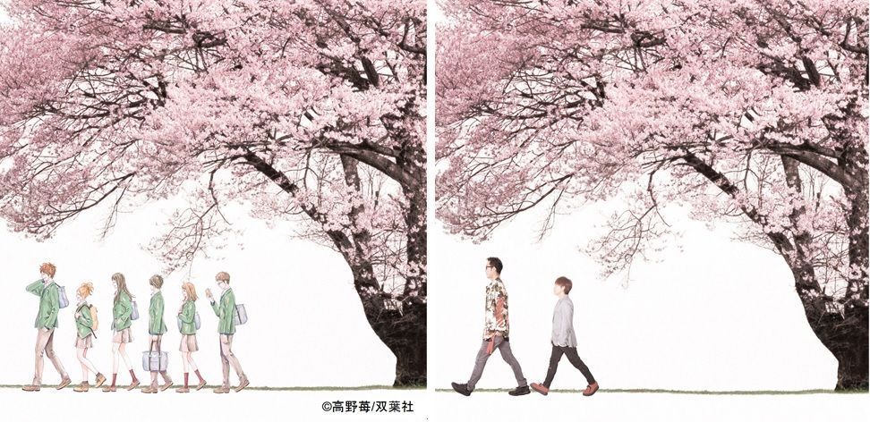 半額満載！スーパーSALE グランドセール！ 楽天ブックス: 未来 Spring Package (完全生産限定盤 その他