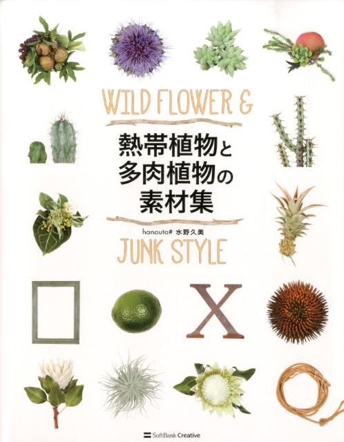 楽天ブックス 熱帯植物と多肉植物の素材集 Wild Flower Junk Style 水野久美 本