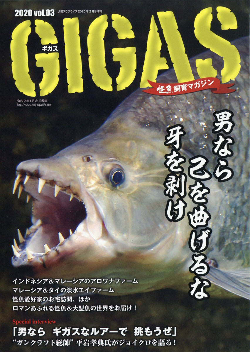 GIGAS ギガス 5冊セット - 趣味