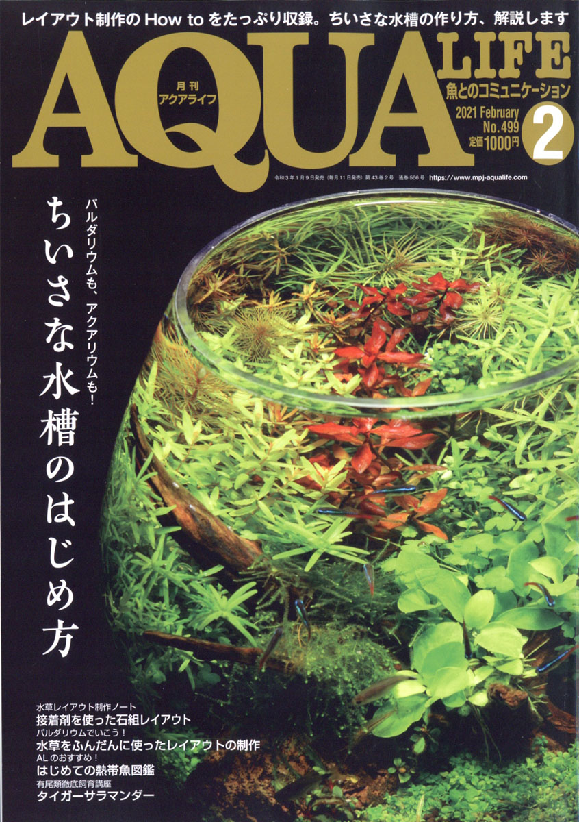 楽天ブックス 月刊 Aqua Life アクアライフ 21年 02月号 雑誌 エムピー ジェー 雑誌