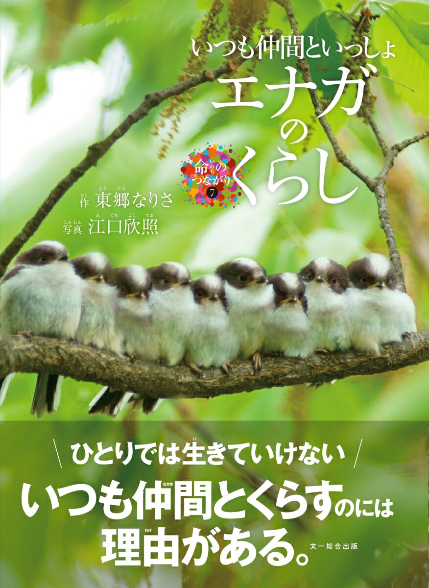 いつも仲間といっしょ　エナガのくらし画像