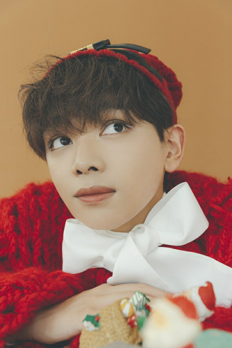 �ڳ�ŷ�֥å���������ŵ�۵���ΰ�參������2023.4-2024.3���̾��ǡ�(���ڥ����ե���)[����ΰ��]