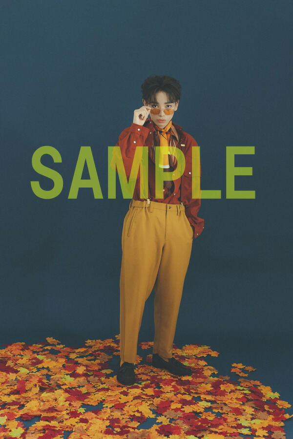 �ڳ�ŷ�֥å���������ŵ�۵���ΰ�參������2023.4-2024.3���̾��ǡ�(���ڥ����ե���)[����ΰ��]