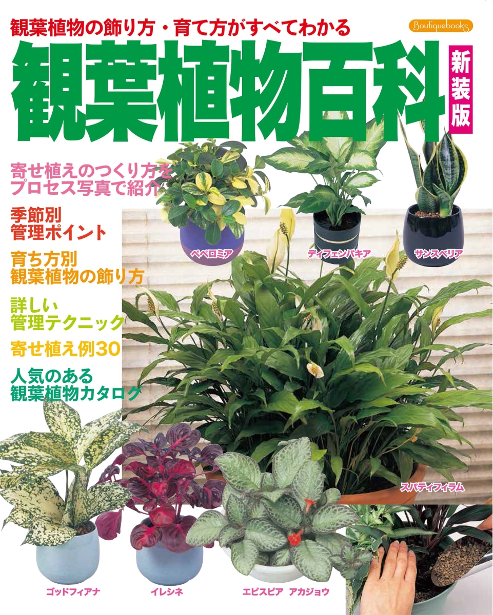 楽天ブックス 観葉植物百科 新装版 本