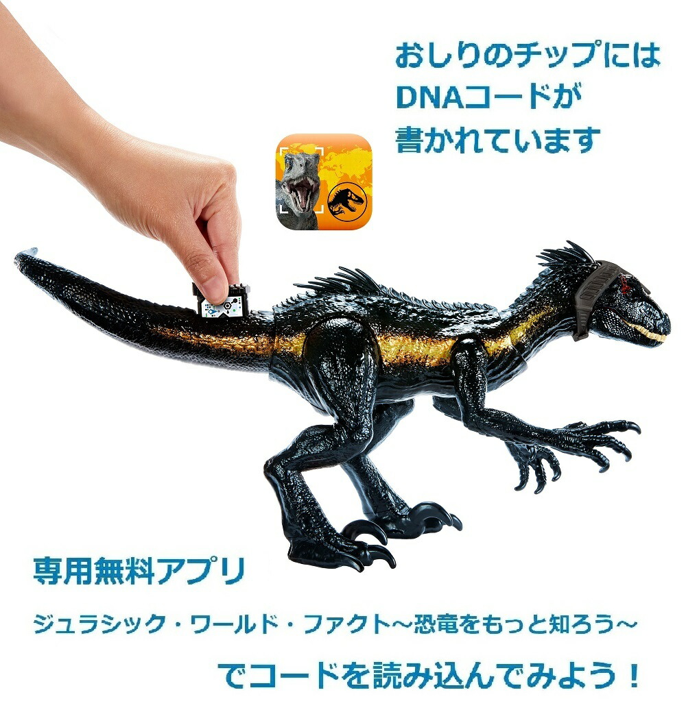 �ޥƥ른��饷�å�����(JURASSICWORLD)�����ѡ���������󡪥���ɥ�ץȥ�ڶ�ε�������ۡ���Ĺ:��42cm�ۡ�4��~��HKY11
