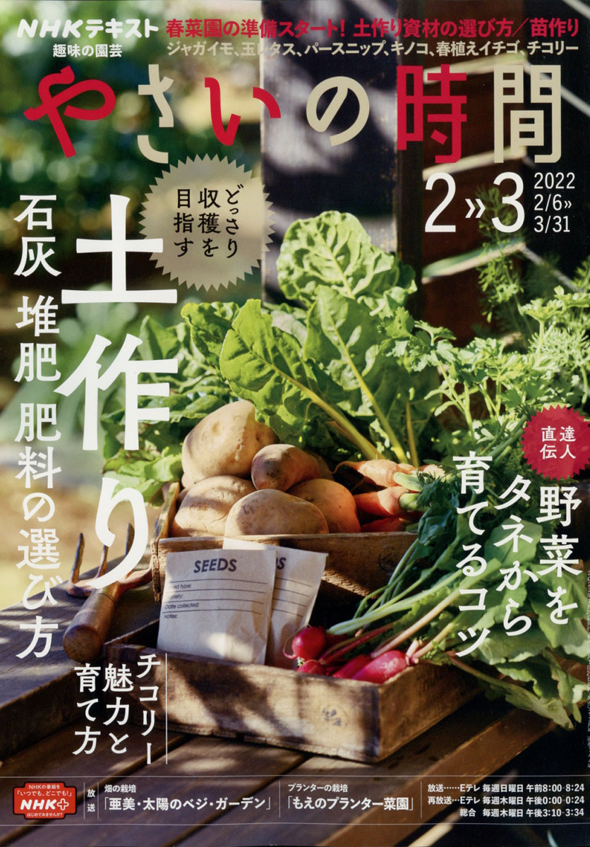 NHK 趣味の園芸やさいの時間 2023年12月号 - 雑誌