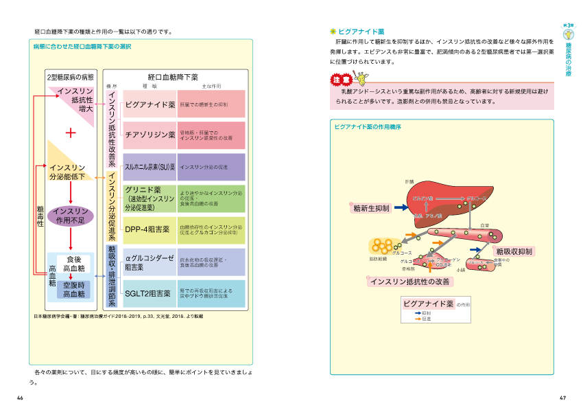 楽天ブックス ビギナーナース実践ノート 糖尿病 腎臓病看護 金子 和真 本