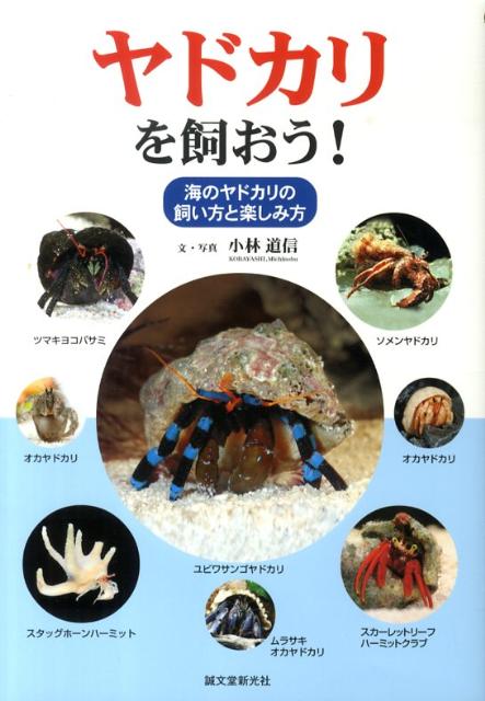 楽天ブックス ヤドカリを飼おう 海のヤドカリの飼い方と楽しみ方 小林道信 本