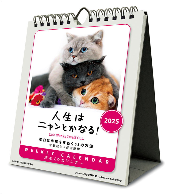 人生はニャンとかなる！ 卓上/壁掛（2025年1月始まりカレンダー）