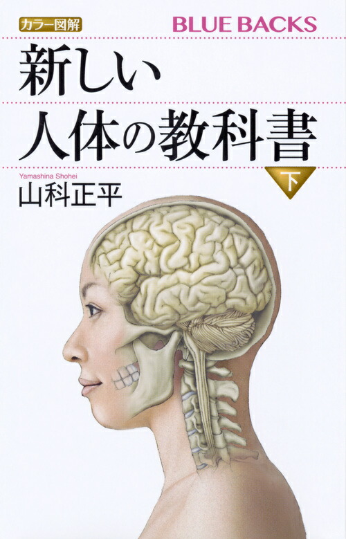 楽天ブックス: カラー図解 新しい人体の教科書 下 - 山科 正平