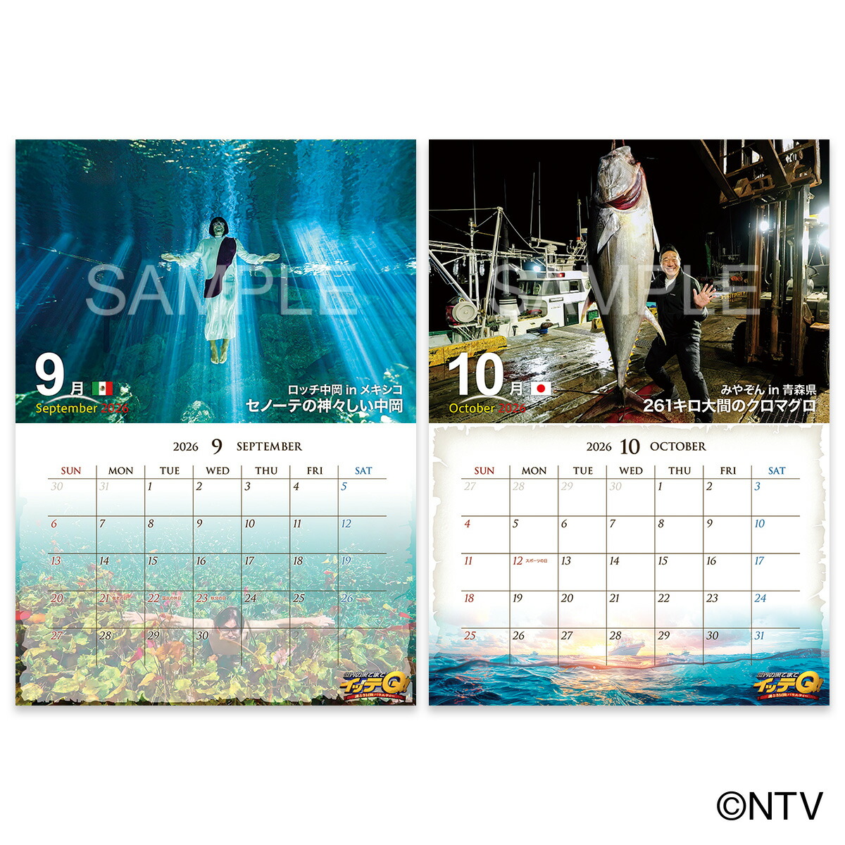 ���å�Q����������2026�ɳݤ�[�����β̤Ƥޤǥ��å�Q��]