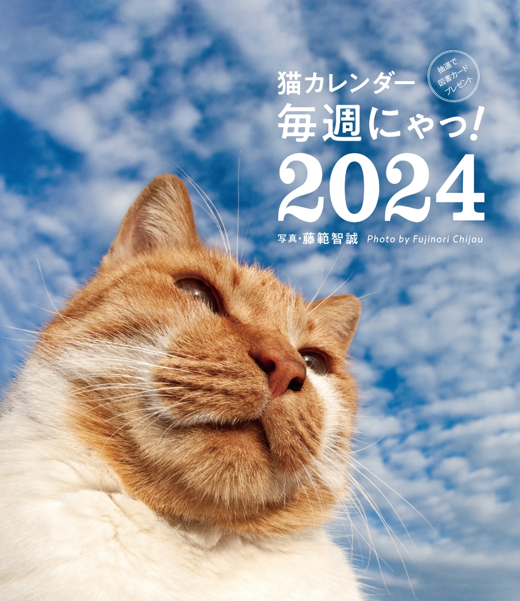 楽天ブックス: 2024 猫カレンダー 毎週にゃっ! - 藤範智誠 