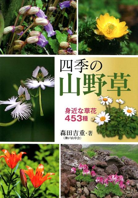 楽天ブックス: 四季の山野草 - 身近な草花453種 - 森田吉重