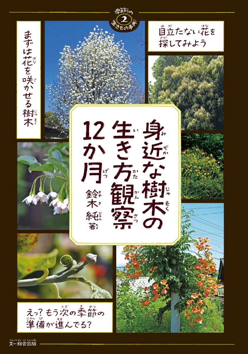 身近な樹木の生き方観察12か月（季節の生きもの事典）[鈴木純]