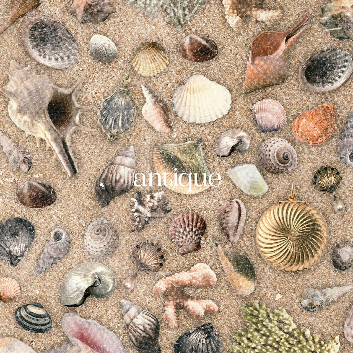 【楽天ブックス限定先着特典】antique(アクリルキーホルダー)[おいしくるメロンパン]