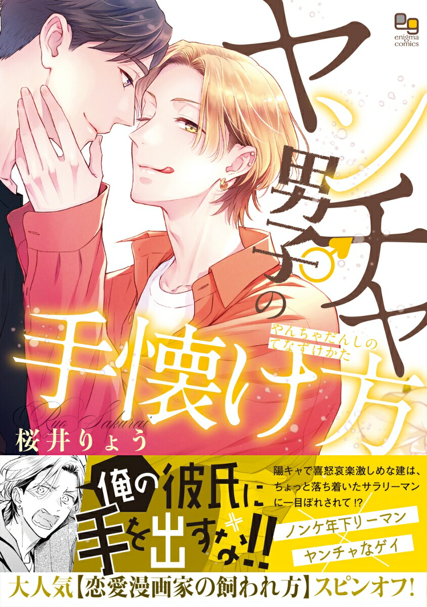 ヤンチャ男子の手懐け方（enigmacomics）[桜井りょう]