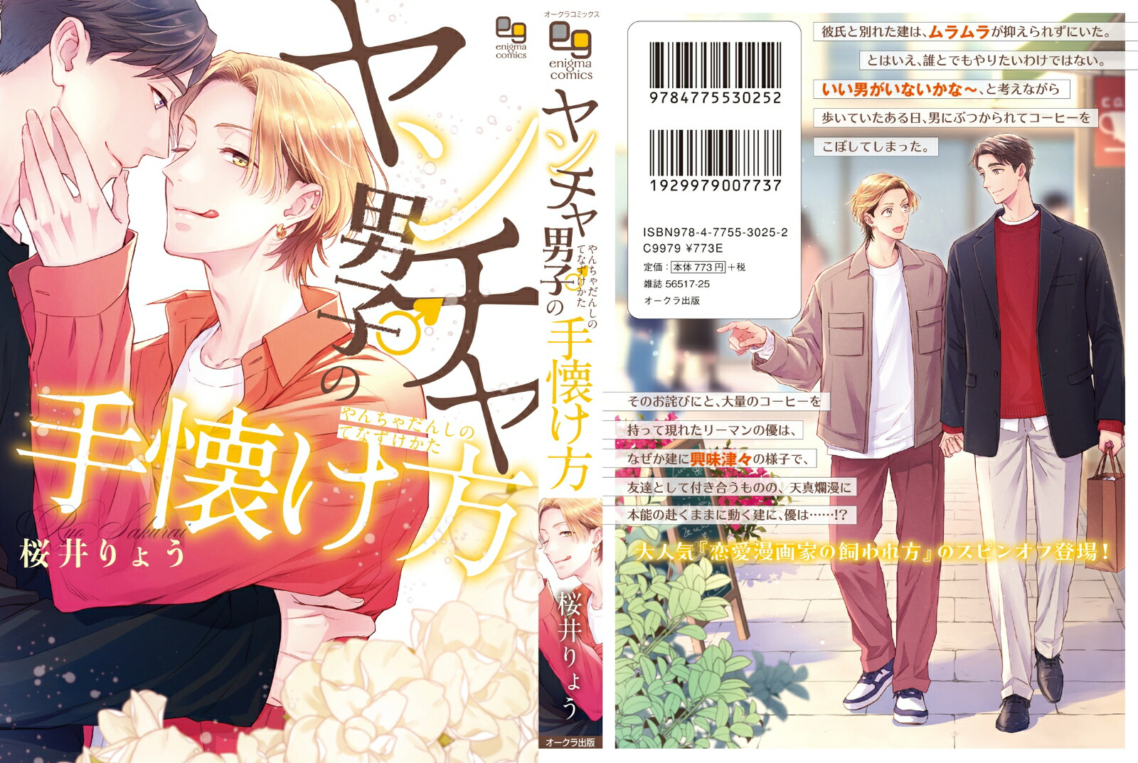 ヤンチャ男子の手懐け方（enigmacomics）[桜井りょう]