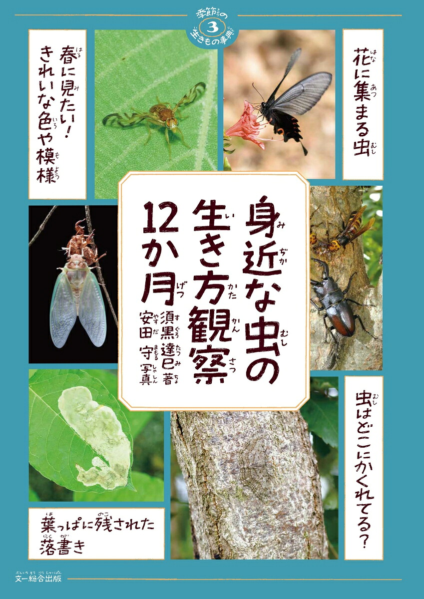 身近な虫の生き方観察12か月（季節の生きもの事典3）[須黒達巳]