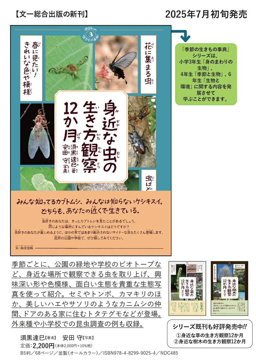 身近な虫の生き方観察12か月（季節の生きもの事典3）[須黒達巳]