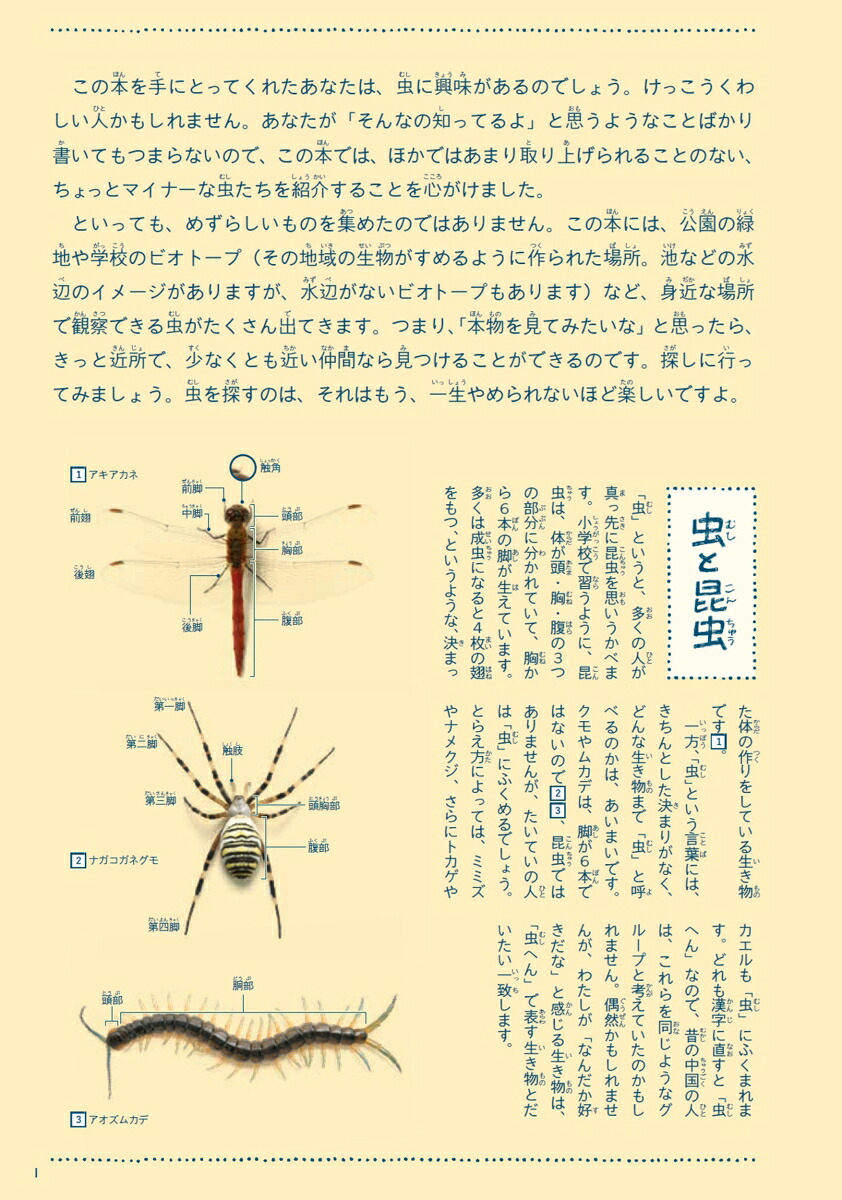身近な虫の生き方観察12か月（季節の生きもの事典3）[須黒達巳]