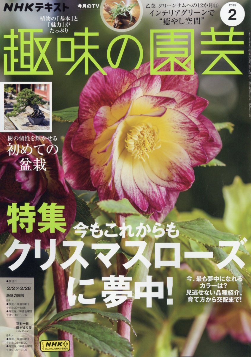 楽天ブックス: NHK 趣味の園芸 2025年 2月号 [雑誌] - NHK出版 - 4910064570257 : 雑誌