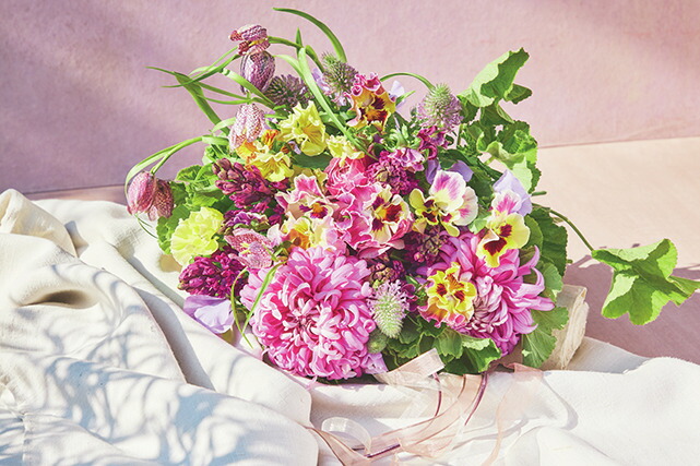 LEE(�꡼)2026ǯ1�2���ʻ��[����]